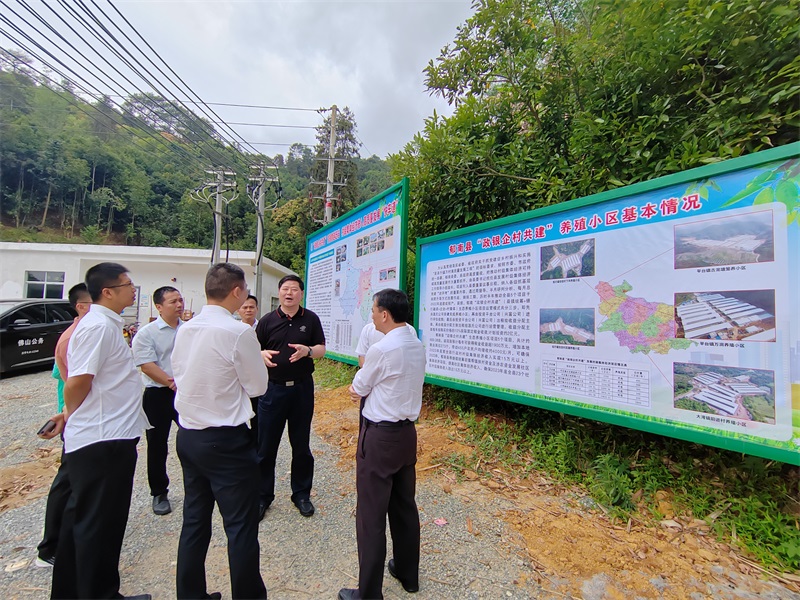 市委农办常务副主任、市乡村振兴局常务副局长杨常青赴云浮市调研驻镇帮镇扶村工作2 2.jpg