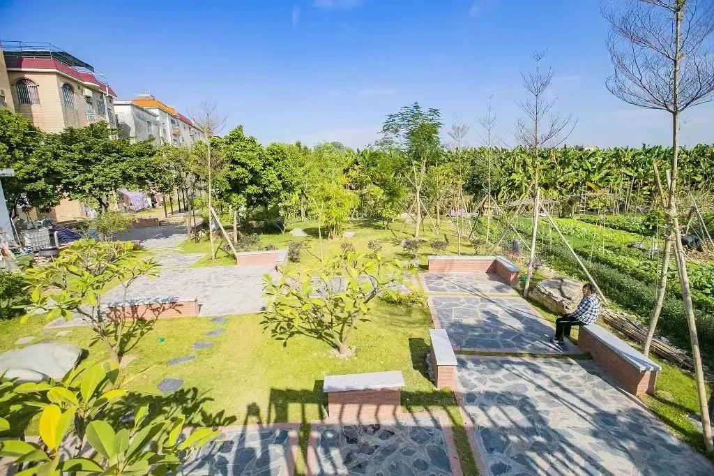 百里芳华精华段之熹涌村.jpg 图片
