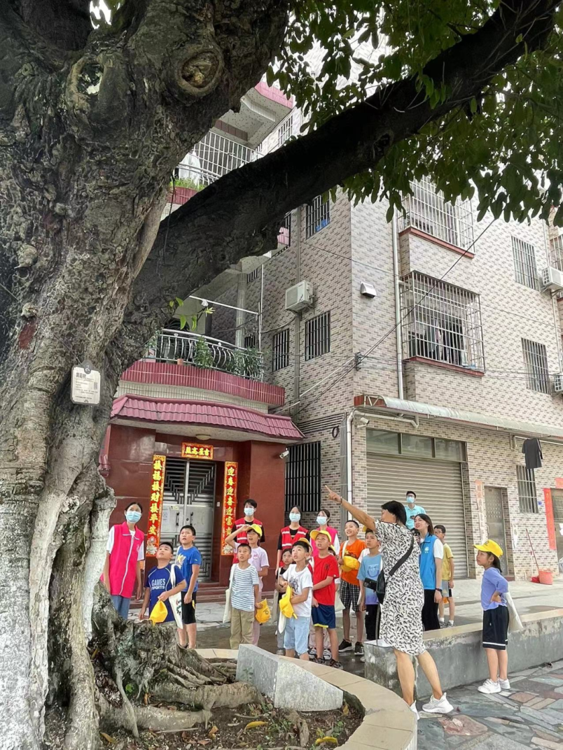 图片13.png 图片