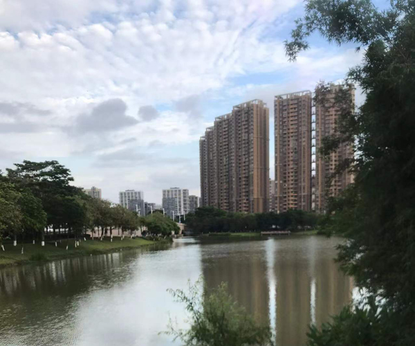 佛山高明“查问题、除隐患、防事故”,深入开展教育工程项目安全生产检查 佛山高明“查问题、除隐患、防事故”,深入开展教育工程项目安全生产检查