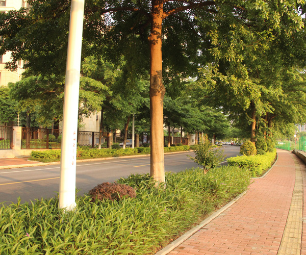 “花开广州 盛放世界”2023广州文化旅游推介大会8月8日晚举行