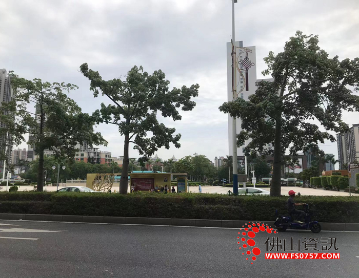 顺德龙江文化广场 顺德龙江文化广场