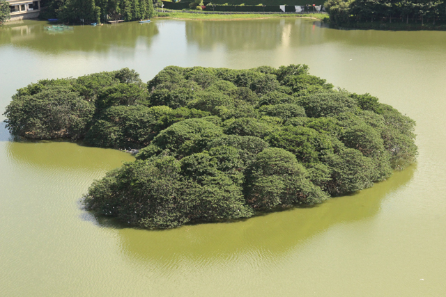 三水城市之心、湾西智造之城、岭南水韵胜地！