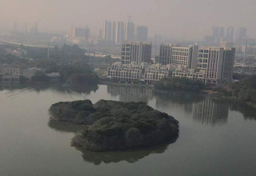 台风“苏拉”凌晨登陆!风险尚未解除,降雨将持续 台风“苏拉”凌晨登陆!风险尚未解除,降雨将持续