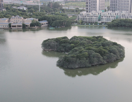 佛山都有哪些旅游景点呢？