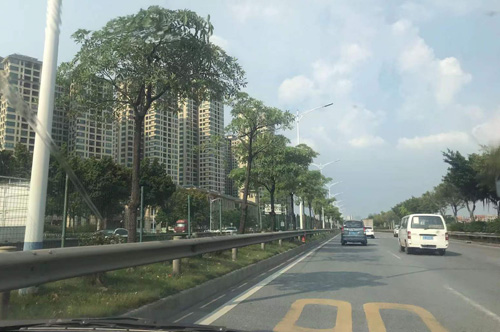 高明荷城这条道路施工,途经车辆需这样绕行 高明荷城这条道路施工,途经车辆需这样绕行