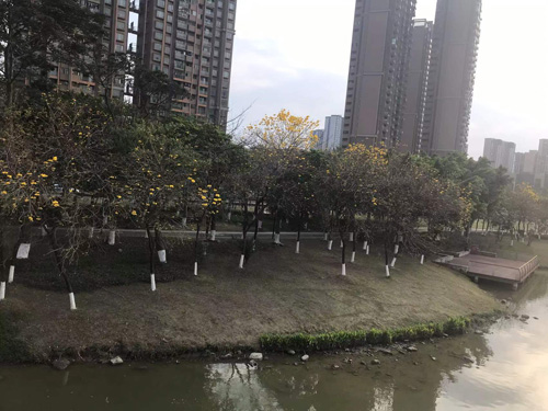 佛山市禅城区旅游景点部分推荐 佛山市禅城区旅游景点部分推荐