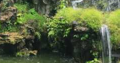 广东菊花湾农业公园:体验现代农业与自然美景的完美融合 广东菊花湾农业公园:体验现代农业与自然美景的完美融合