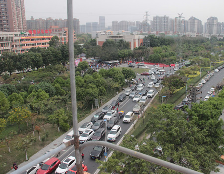 佛山市南海区文教路：知识与生活的交融之路