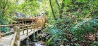 信峰公园:里水的生态休闲之选,佛山资讯 信峰公园:里水的生态休闲之选,佛山资讯