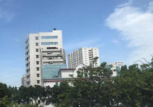 佛山高明持续抓好耕地保护,打击破坏耕地行为 佛山高明持续抓好耕地保护,打击破坏耕地行为