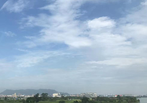 鸢飞鱼跃,来广州白云区这个水鸟生态廊道打卡吧! 鸢飞鱼跃,来广州白云区这个水鸟生态廊道打卡吧!