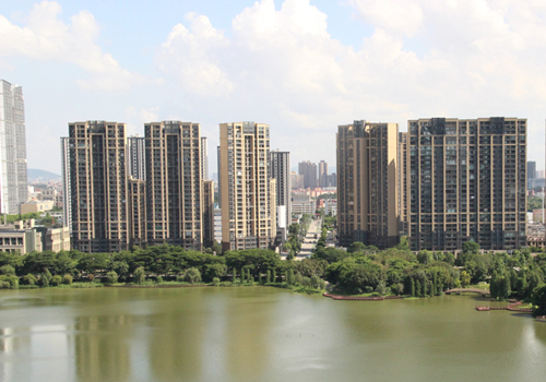 高明区杨和镇杨梅河河岸整治工程施工招标公告