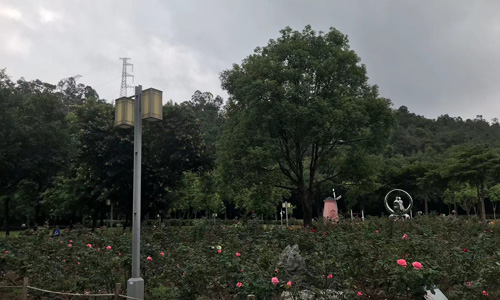 魅力大都公园:城市中的绿色明珠 魅力大都公园:城市中的绿色明珠
