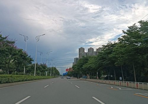 荷岳路:顺德区的活力动脉 荷岳路:顺德区的活力动脉