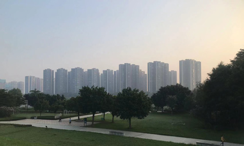 三洲中心公园:顺德的绿色明珠 三洲中心公园:顺德的绿色明珠