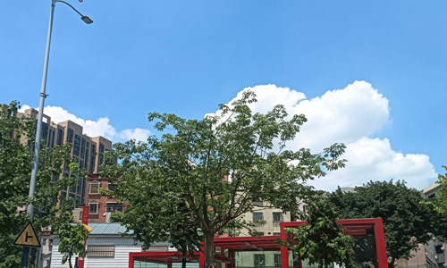 佛山雅致宾馆:顺德的温馨驿站 佛山雅致宾馆:顺德的温馨驿站