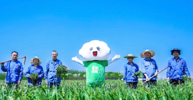 袁记云饺:从蒜香里“种”出乡村振兴新答案 袁记云饺:从蒜香里“种”出乡村振兴新答案