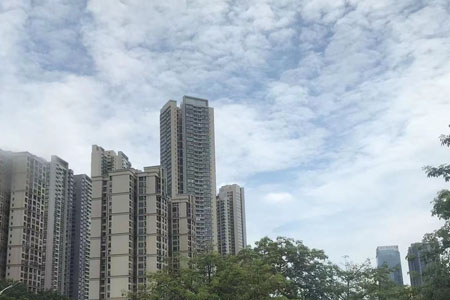 佛山市第一人民医院内外网改造招标公告
